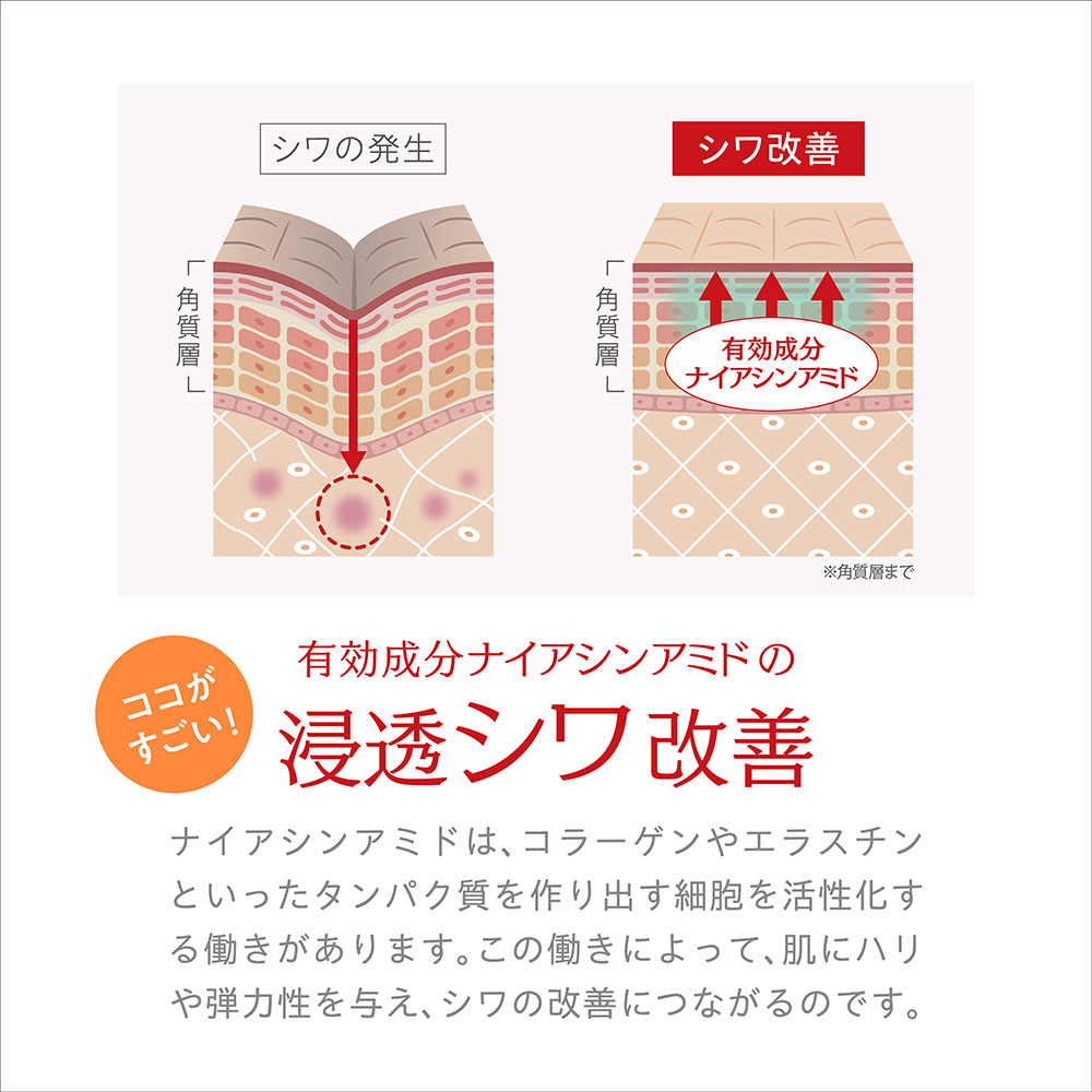 ココがすごい!有効成分ナイアシンアミドの浸透シワ改善 ナイアシンアミドは、コラーゲンやエラスチンといったタンパク質を作り出す細胞を活性化する働きがあります。この働きによって、肌にハリや弾力性を与え、シワの改善につながるのです。