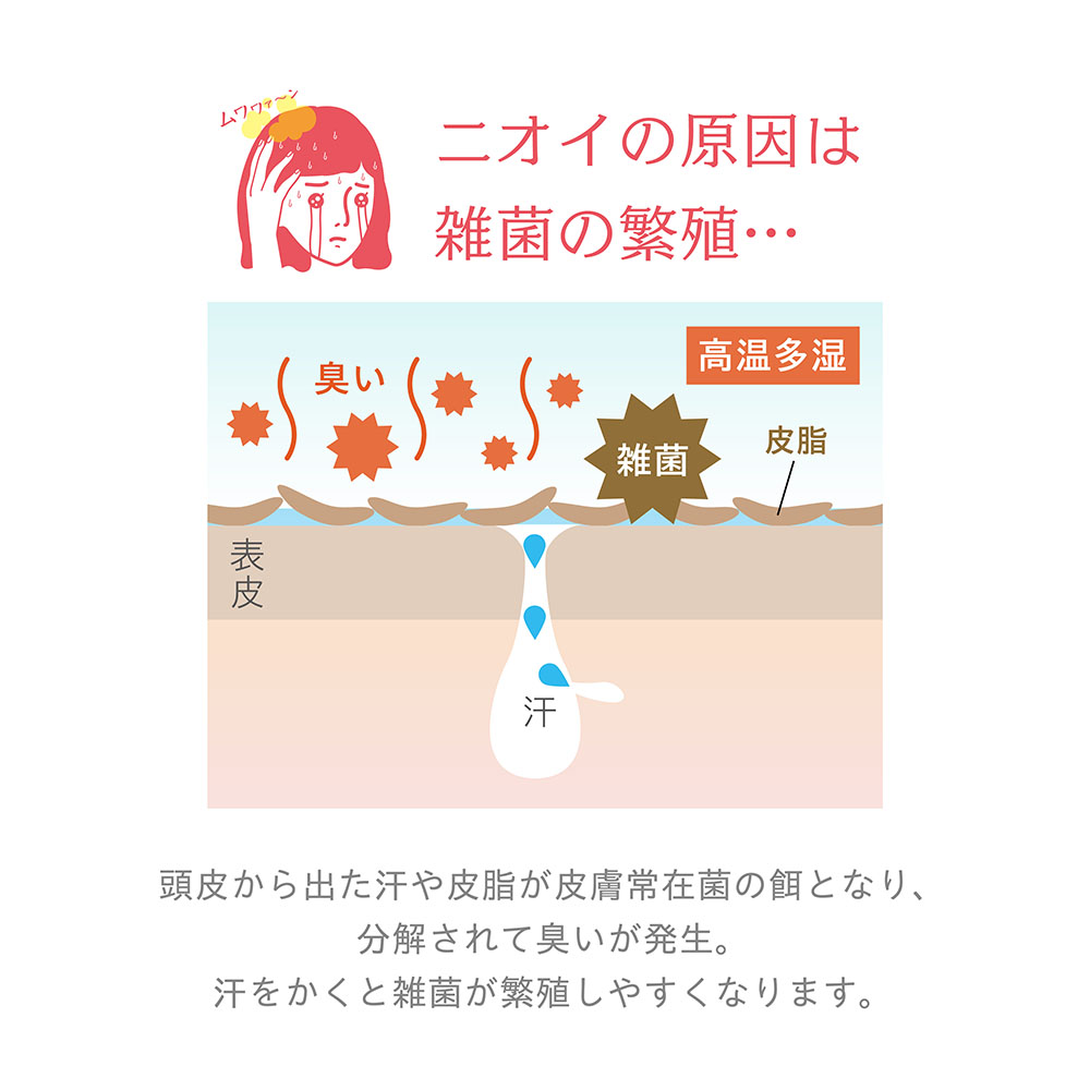 ニオイの原因は雑菌の繁殖…頭皮から出た汗や皮脂が皮膚常在菌の餌となり、分解されて臭いが発生。汗をかくと雑菌が繁殖しやすくなります。